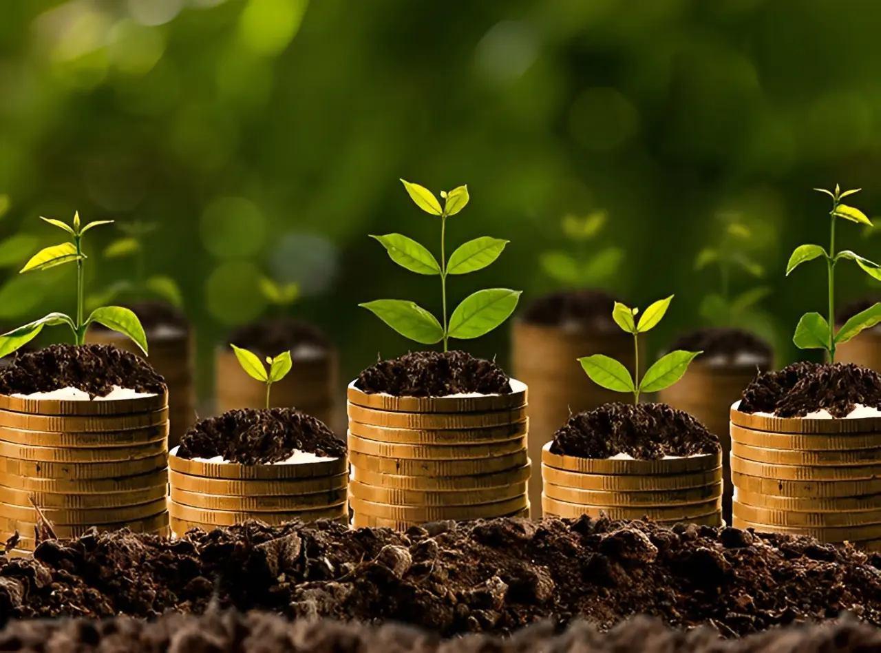Stacks of coins with small green plants growing on top, set against a blurred green background.